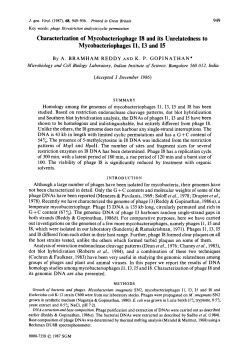 Characterization of Mycobacteriophage 18 and its