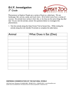 Animal What Does it Eat (Diet)