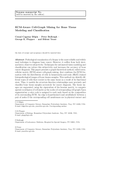 ECM-Aware Cell-Graph Mining for Bone Tissue Modeling