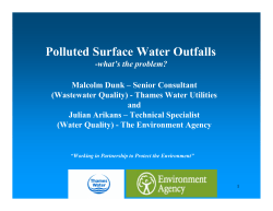 Polluted Surface Water Outfalls