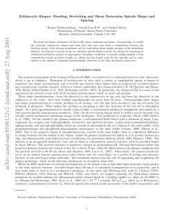 Echinocyte Shapes: Bending, Stretching and Shear Determine