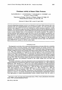 Proteinase Activity in Rumen Ciliate Protozoa