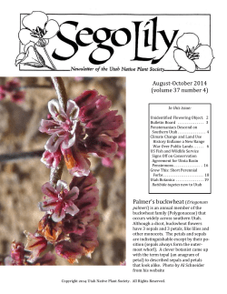 August-October 2014 newsletter