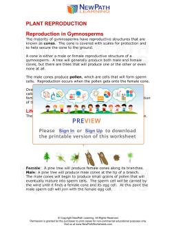 PLANT REPRODUCTION Reproduction in Gymnosperms