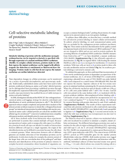Cell-selective metabolic labeling of proteins