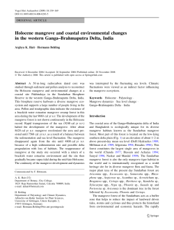 Holocene mangrove and coastal environmental changes in the