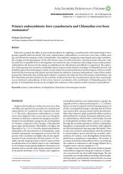 Primary endosymbiosis: have cyanobacteria and Chlamydiae ever