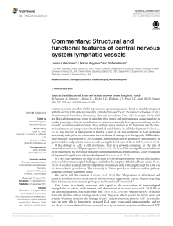 Structural and functional features of central nervous