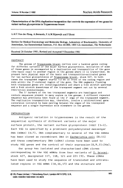 Characterization of the DNA duplication