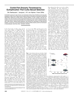 Cichlid Fish Diversity Threatened by Eutrophication That Curbs