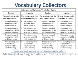 Antonym/Synonym Rubric