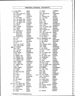 PREFIXES, SUFFIXES, AND ROOTS