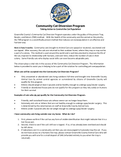 Community Cat Diversion Program