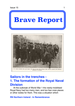 Brave Report Issue 15 RND