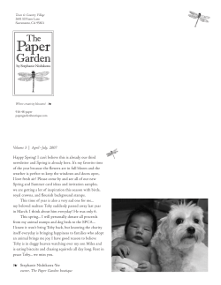 Happy Spring! I can`t believe this is already our third newsletter and