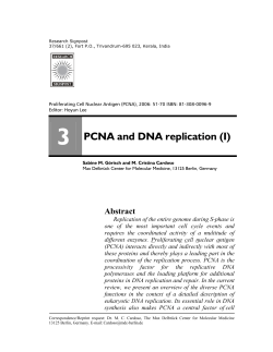 3 PCNA and DNA replication
