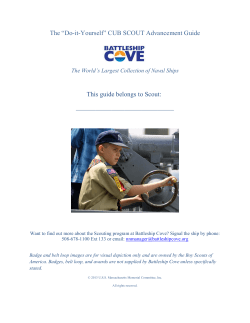 The &ldquo;Do-it-Yourself&rdquo; CUB SCOUT Advancement Guide This guide