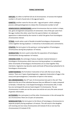 Chapter 23 Terms and Definitions