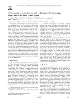 Carbon storage in permafrost and soils of the mammoth tundra