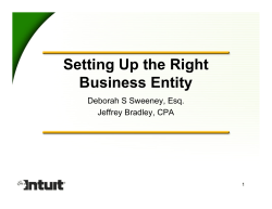Setting Up the Right Business Entity