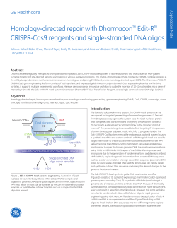 Homology-directed repair with Dharmacon Edit-R CRISPR