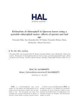 Estimation of chlorophyll in Quercus leaves using a portable