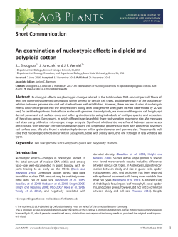 An examination of nucleotypic effects in diploid