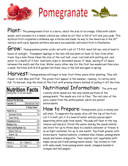 Nutritional Information: The arils and