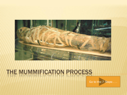 THE MUMMIFICATION PROCESS
