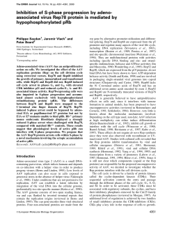 Inhibition of S-phase progression by adeno