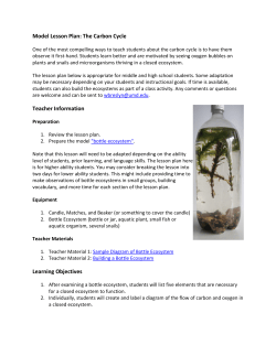 Model Lesson Plan: The Carbon Cycle Teacher Information