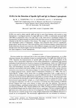 ELISA for the Detection of Specific IgM and IgG in