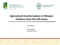 Agricultural transformation in Ethiopia: Evidence