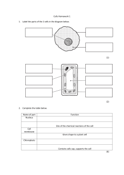 Cells Homework 1 1. Label the parts of the 2 cells in the diagram