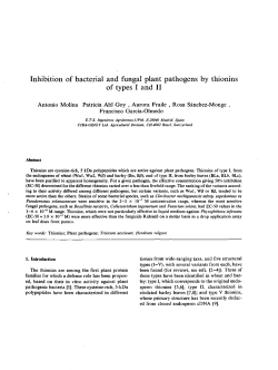 Inhibition of bacterial and fungal plant pathogens by thionins of