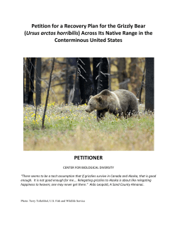 Grizzly Recovery Plan Petition - Center for Biological Diversity