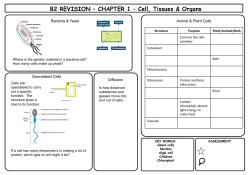 B2 Revision Homework