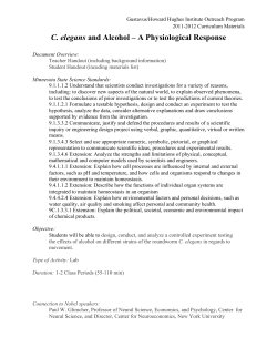 C. elegans and Alcohol &ndash; A Physiological Response