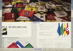 THE TRUTH ABOUT FLAGS