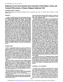 Epidermal Growth Factor Receptor Gene