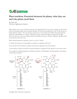 Plant nutrition: Essential elements for plants, what they are and why