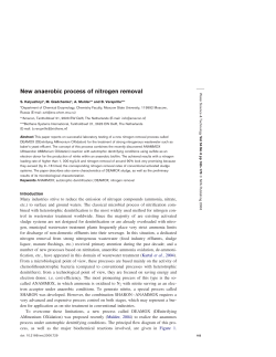New anaerobic process of nitrogen removal