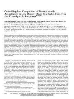 Cross-Kingdom Comparison of Transcriptomic