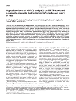 Opposite effects of HDAC5 and p300 on MRTF-A-related