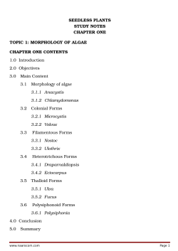 SEEDLESS PLANTS STUDY NOTES CHAPTER ONE TOPIC 1
