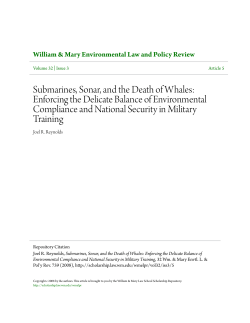 Submarines, Sonar, and the Death of Whales: Enforcing the Delicate