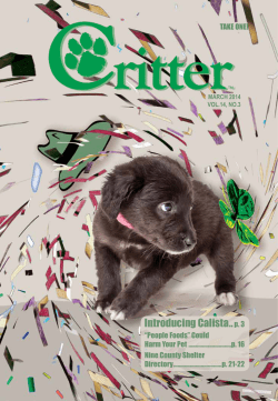 Introducing Calista ..p. 3