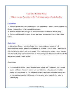 Class One: Seabird Basics Objectives and Activities by St. Paul