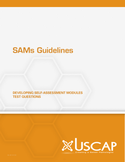 SAMs_Guidelines_VER2..
