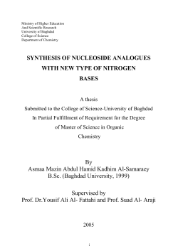 SYNTHESIS OF NUCLEOSIDE ANALOGUES WITH NEW TYPE OF